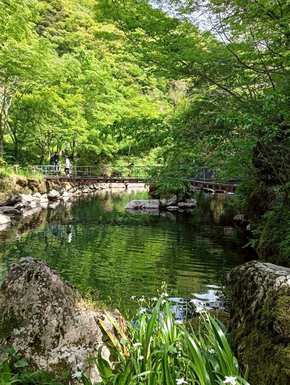 夏季休診のお知らせ